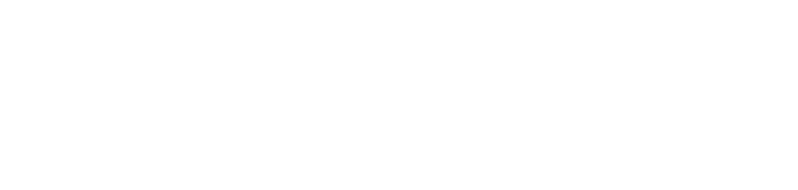 Tsubakimoto White Logo