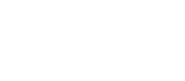 TAIFUN software logo