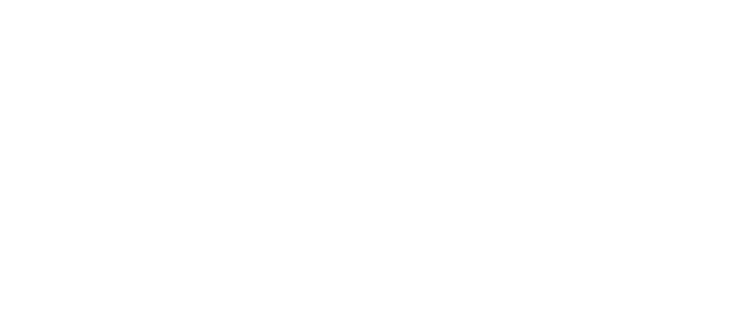 Hallo Heathcare Group White Logo