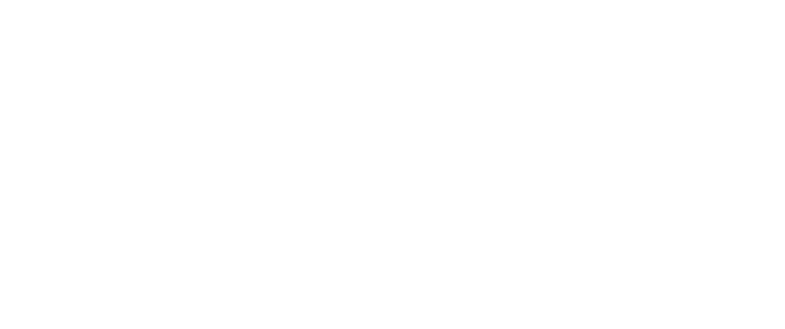 Aeriz logo white