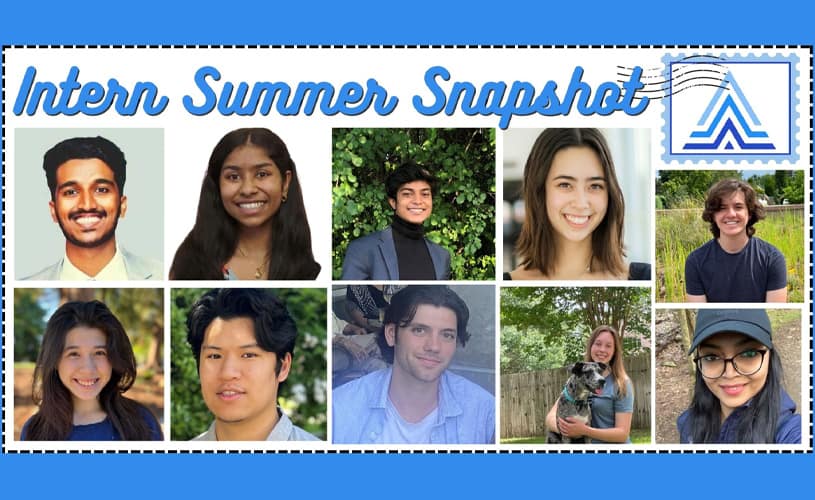 Get to know the members of the Actian Intern Summer Series 2022 in depth.