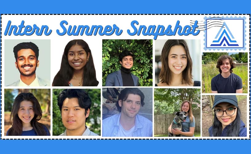 Get to know the members of the Actian intern summer series 2022 in depth