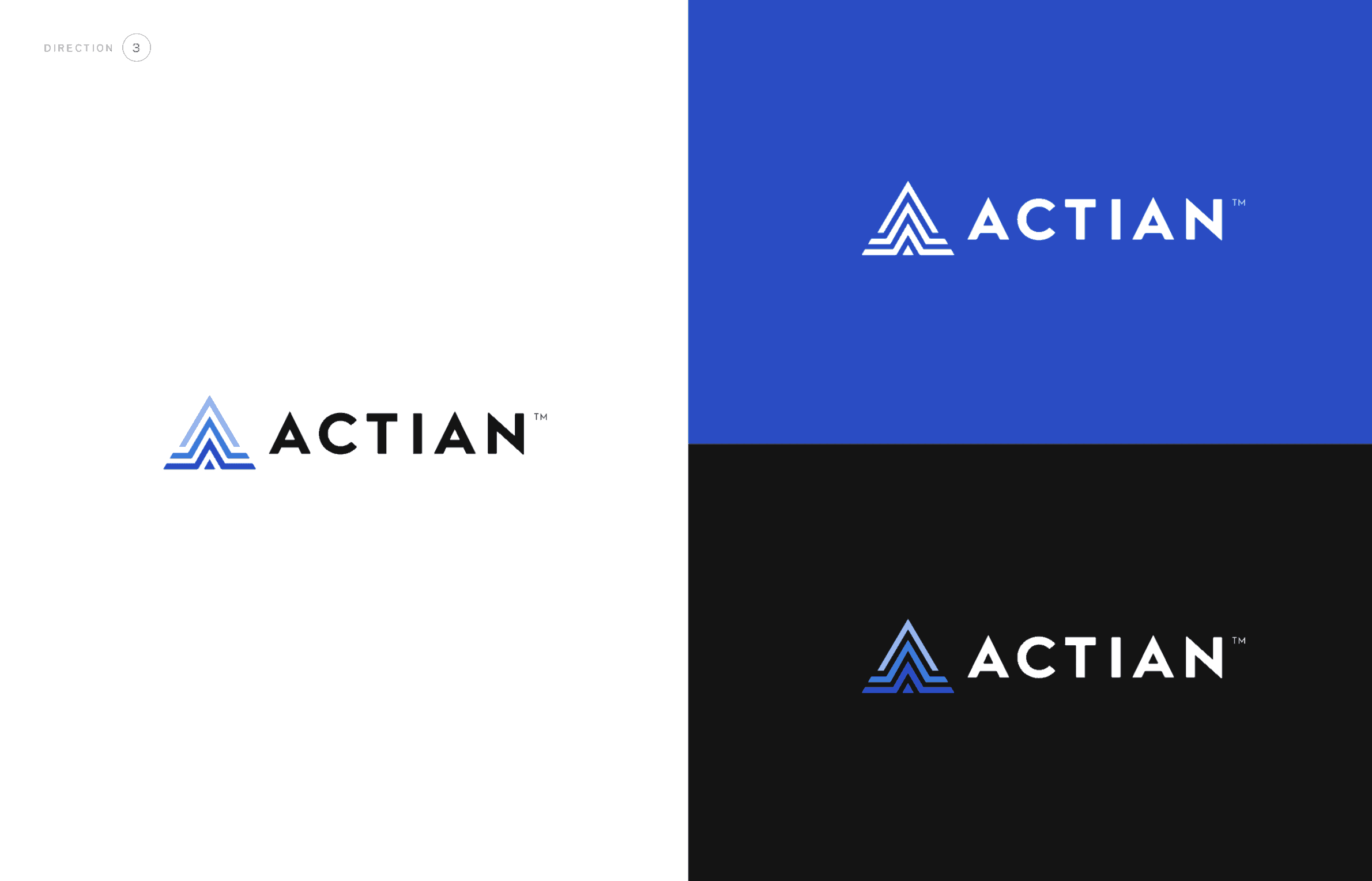 A New Brand: Actian's New Logo