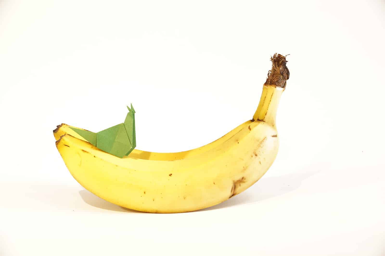 banana and paper slug as a representation of sqlite