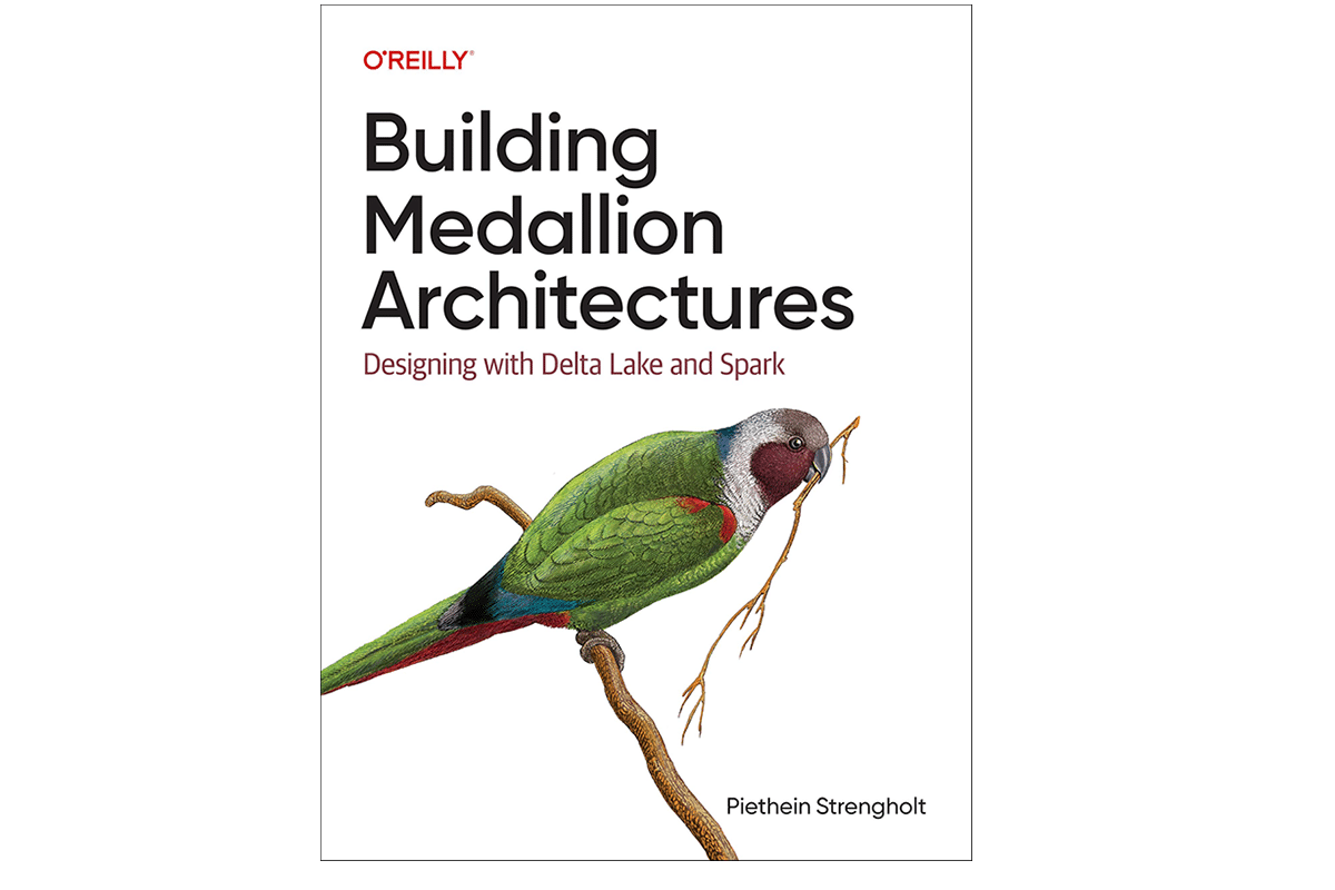 Building Medallion Architecture Book Cover