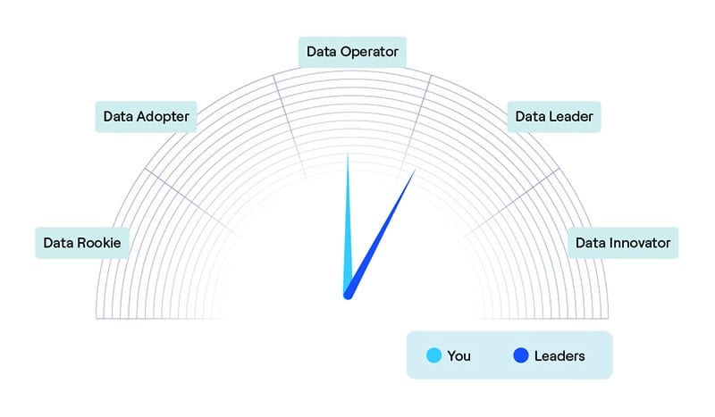 gráfico del modelo de madurez de datos