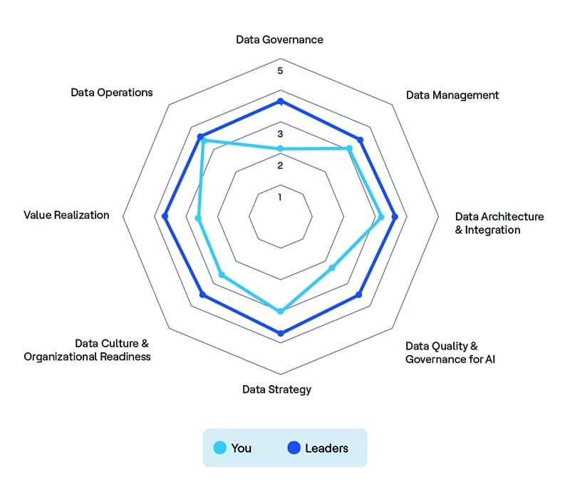 modelo de madurez de datos gráfico de araña