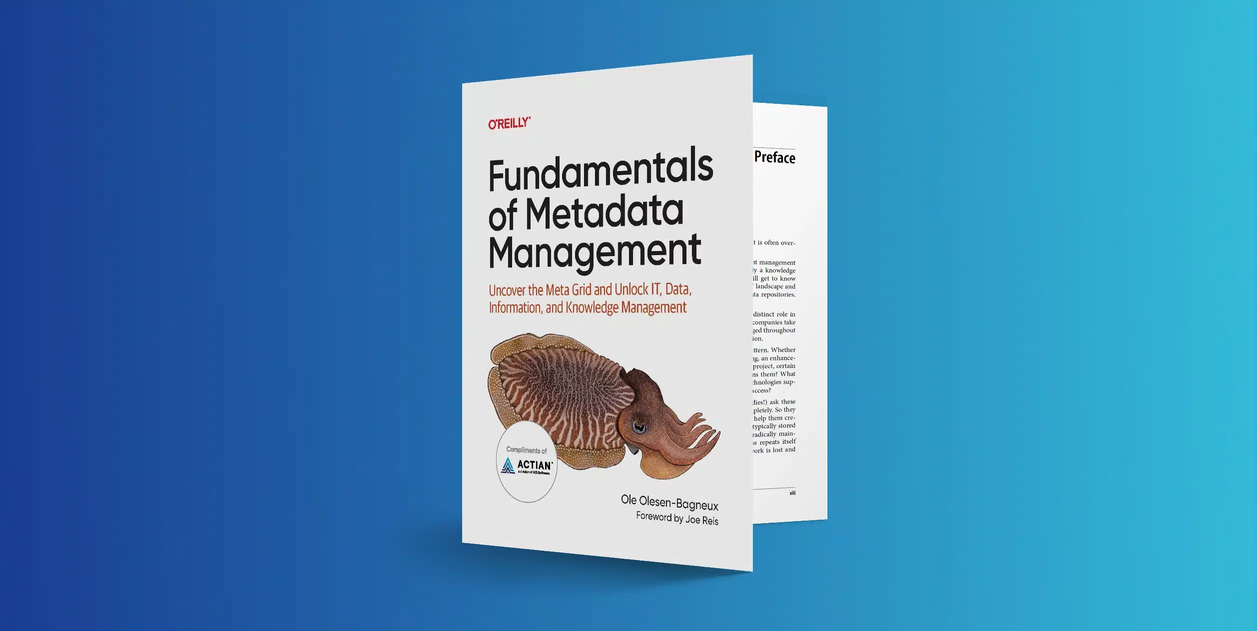 Fundamentals of Metadata Management book cover