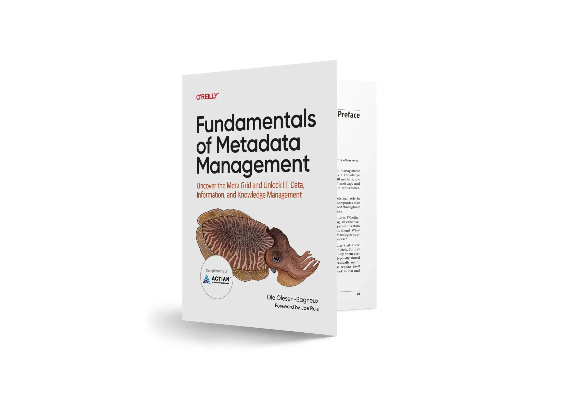 fundamentals of metadata management featured book cover