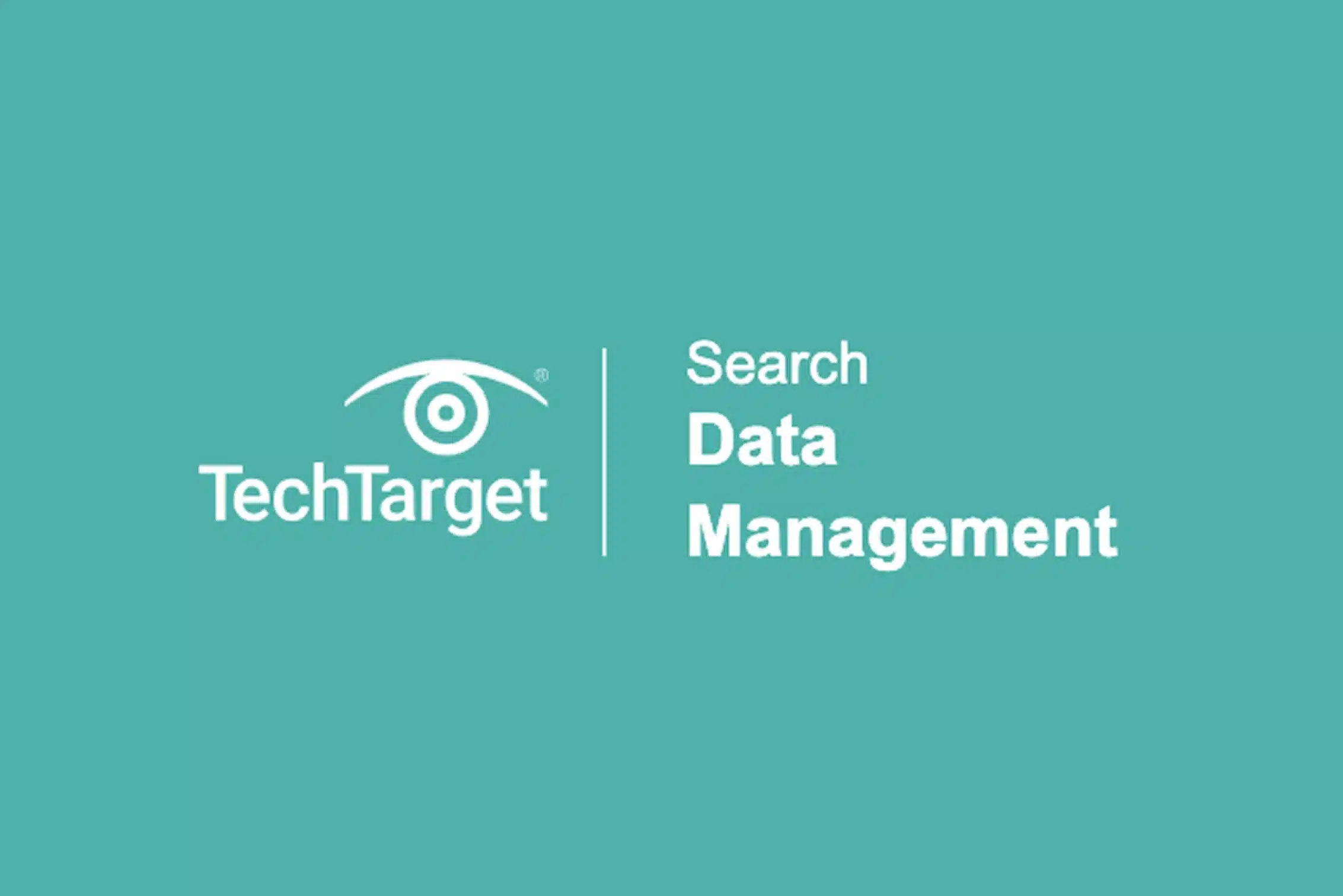 TechTarget Data Management